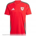 Nuevo Tailandia 1ª Camiseta Gales 2024 Rojo Baratas Nuevo Tailandia 1ª Camiseta Gales 2024 Rojo Baratas