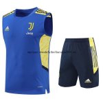 Nuevo Entrenamiento Sin Mangas Conjunto Completo Juventus 22/23 Azul Amarillo Baratas Nuevo Entrenamiento Sin Mangas Conjunto Completo Juventus 22/23 Azul Amarillo Baratas