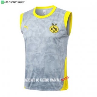 Nuevo Entrenamiento Sin Mangas Borussia Dortmund 25/26 Gris Amarillo Baratas