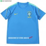 Nuevo Tailandia Especial Camiseta Brasil 2026 Azul I Verde Baratas