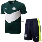 Nuevo Entrenamiento Conjunto Completo Palmeiras 22/23 Verde Blanco Baratas