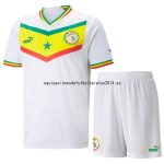 Nuevo 1ª Conjunto De Niños Senegal 2022 Baratas Nuevo 1ª Conjunto De Niños Senegal 2022 Baratas