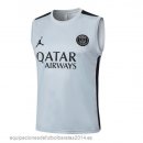 Nuevo Entrenamiento Sin Mangas Paris Saint Germain 23/24 Gris Claro Baratas