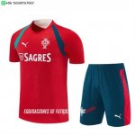 Nuevo Entrenamiento Conjunto Completo Portugal 2026 Rojo Verde Baratas
