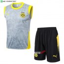 Nuevo Entrenamiento Sin Mangas Conjunto Completo Borussia Dortmund 25/26 Gris Amarillo Negro Baratas