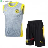 Nuevo Entrenamiento Sin Mangas Conjunto Completo Borussia Dortmund 25/26 Gris Amarillo Negro Baratas
