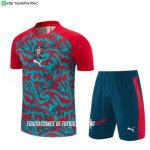 Nuevo Entrenamiento Conjunto Completo Portugal 2026 Rojo I Verde Baratas