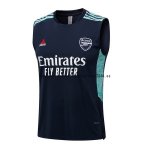 Nuevo Entrenamiento Sin Mangas Arsenal 2022 2023 Azul Verde Baratas Nuevo Entrenamiento Sin Mangas Arsenal 2022 2023 Azul Verde Baratas