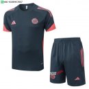 Nuevo Entrenamiento Conjunto Completo Bayern Múnich 25/26 Gris Naranja Baratas