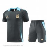 Nuevo Entrenamiento Conjunto Completo Argentina 2024 Gris Azul Baratas