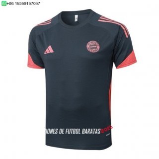 Nuevo Entrenamiento Bayern Múnich 25/26 Gris Naranja Baratas