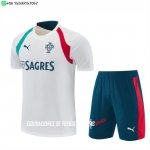 Nuevo Entrenamiento Conjunto Completo Portugal 2026 Blanco Verde Baratas