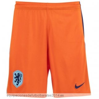 Nuevo 1ª Pantalones Holanda 2024 Naranja Baratas