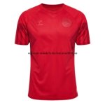 Nuevo Tailandia 1ª Camiseta Dinamarca 2022 Rojo Baratas Nuevo Tailandia 1ª Camiseta Dinamarca 2022 Rojo Baratas