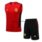 Nuevo Entrenamiento Sin Mangas Conjunto Completo Flamengo 2022 2023 Rojo Baratas Nuevo Entrenamiento Sin Mangas Conjunto Completo Flamengo 2022 2023 Rojo Baratas