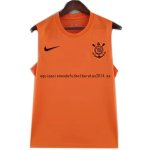 Nuevo Entrenamiento Sin Mangas Corinthians Paulista 2022 2023 I Naranja Baratas Nuevo Entrenamiento Sin Mangas Corinthians Paulista 2022 2023 I Naranja Baratas