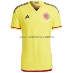 Nuevo 1ª Jugadores Camiseta Colombia 2022 Amarillo Baratas Nuevo 1ª Jugadores Camiseta Colombia 2022 Amarillo Baratas