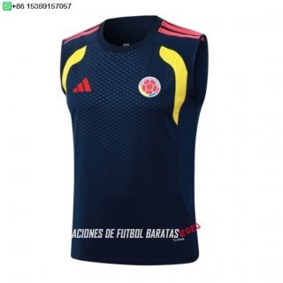 Nuevo Entrenamiento Sin Mangas Colombia 2026 Azul Amarillo Baratas