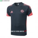 Nuevo Entrenamiento Bayern Múnich 25/26 Gris Naranja Baratas