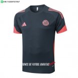 Nuevo Entrenamiento Bayern Múnich 25/26 Gris Naranja Baratas