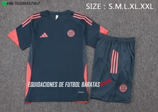 Nuevo Entrenamiento Conjunto Completo Bayern Múnich 25/26 Gris Naranja Baratas