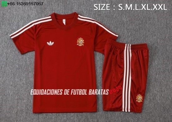 Nuevo Entrenamiento Conjunto Completo España 2026 Borgona Baratas