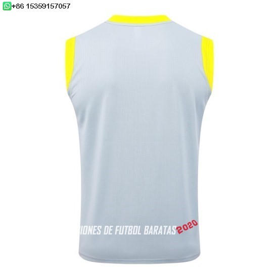 Nuevo Entrenamiento Sin Mangas Borussia Dortmund 25/26 Gris Amarillo Baratas