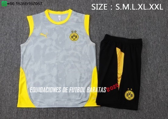 Nuevo Entrenamiento Sin Mangas Conjunto Completo Borussia Dortmund 25/26 Gris Amarillo Negro Baratas
